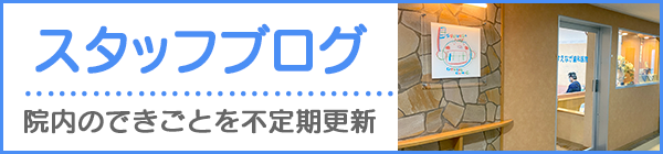 スタッフブログ